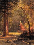 Dogwood by Albert Bierstadt Bierstadt
